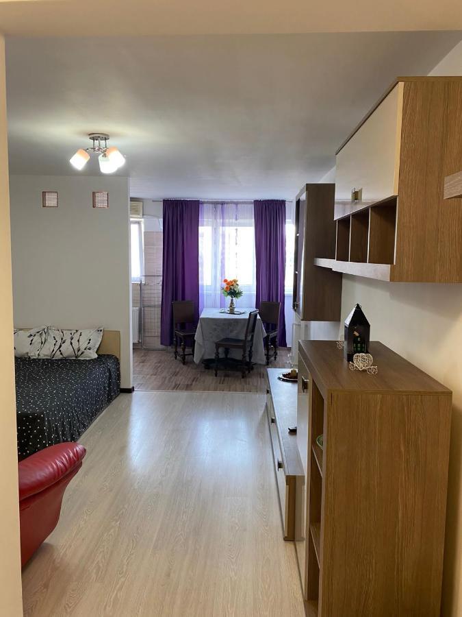 Studio Dristor Apartment Bukares Bagian luar foto